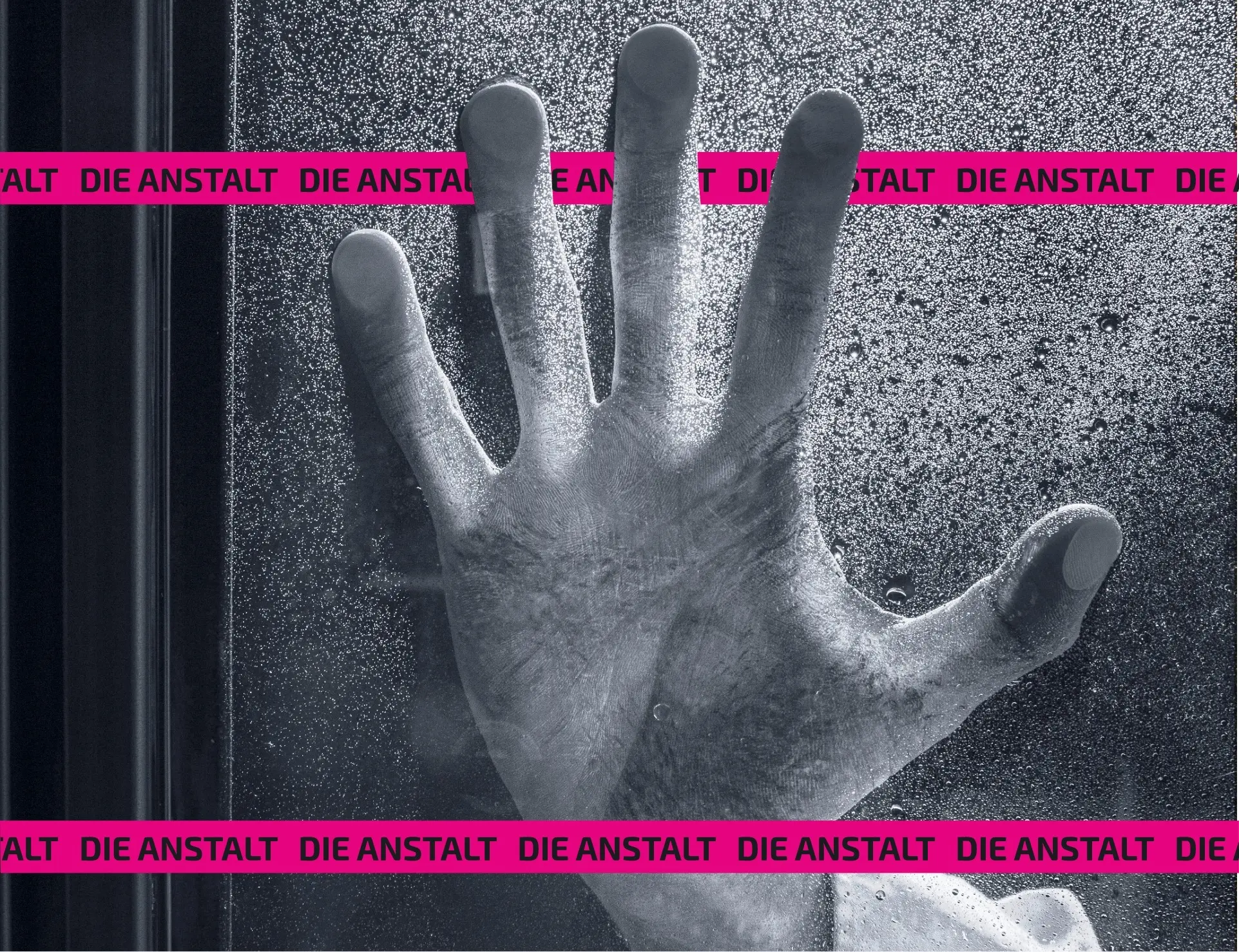 Die Anstalt